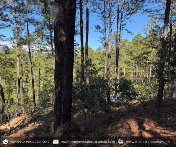 ¡Se vende terreno en Res. La Laguneta, Santa Lucía!  - Imagen 2