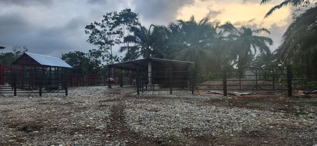  ¡FINCA DE 110 MANZANAS EN VENTA – SANTA CRUZ DE YOJOA, CORTÉS! 