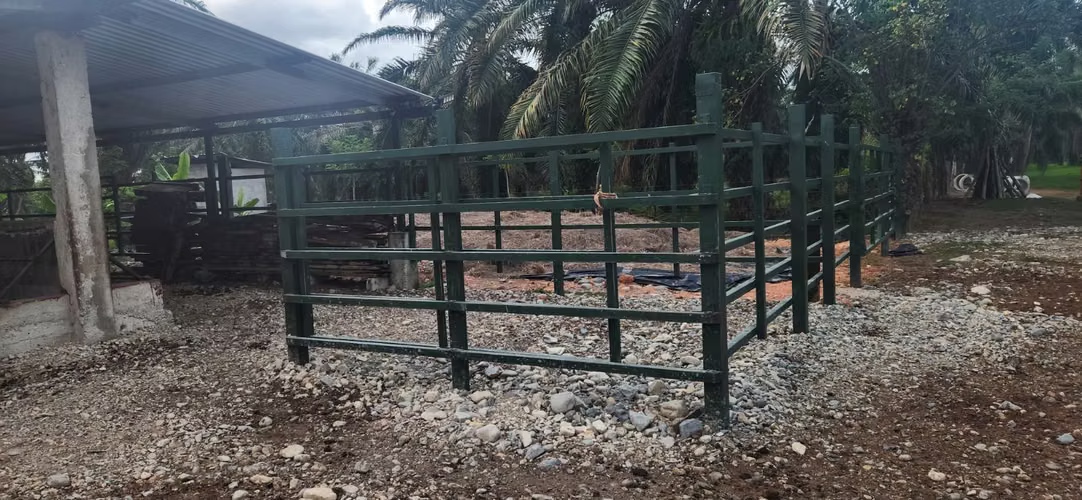  ¡FINCA DE 110 MANZANAS EN VENTA – SANTA CRUZ DE YOJOA, CORTÉS! 