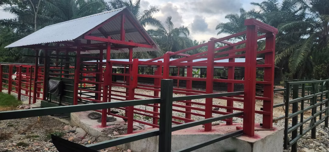 110-BLOCK FARM FOR SALE - YOJOA SANTA CRUZ, COURTEOUS!