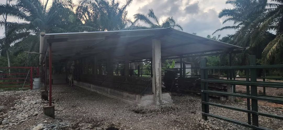  ¡FINCA DE 110 MANZANAS EN VENTA – SANTA CRUZ DE YOJOA, CORTÉS! 