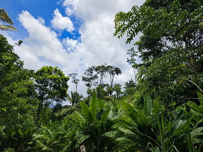 Finca en venta en Tela, Atlántida