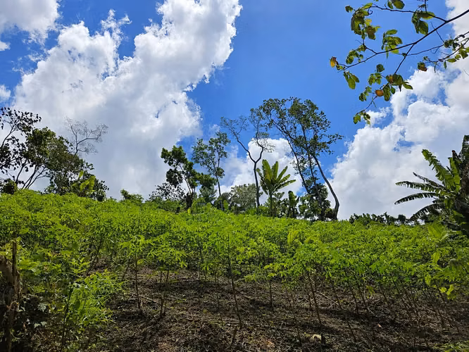 Finca en venta en Tela, Atlántida