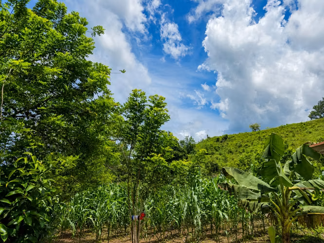 Finca en venta en Tela, Atlántida