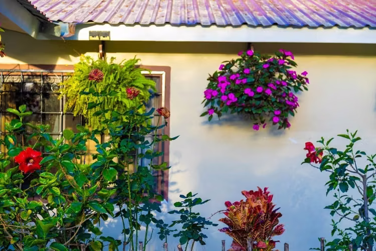 Venta de vivienda en Valle de Angeles Aldea Las tres Rosas  - Imagen 12