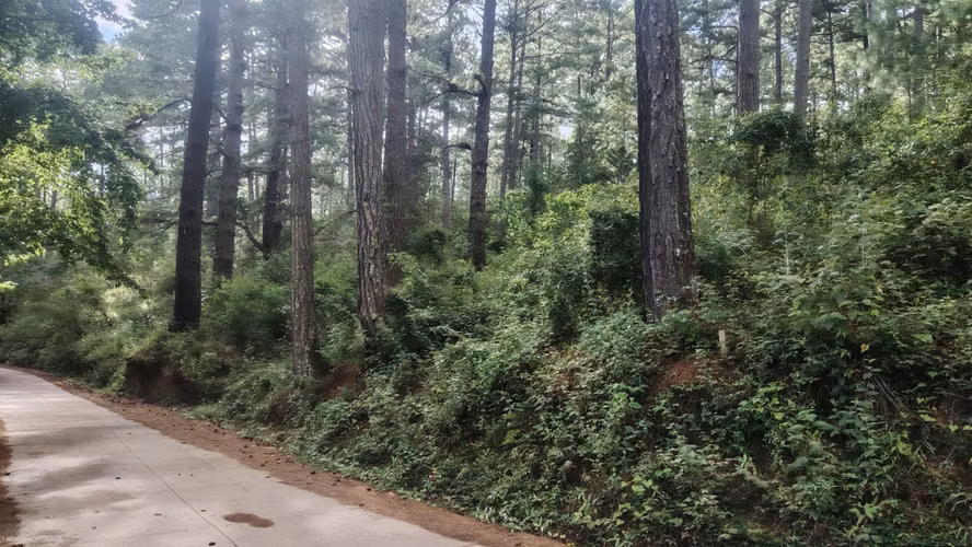 Se Vende Amplio Terreno en Valle Angeles - Imagen 2