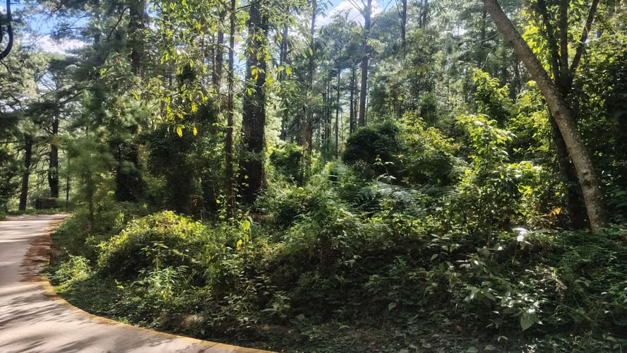 Se Vende Amplio Terreno en Valle Angeles - Imagen 7