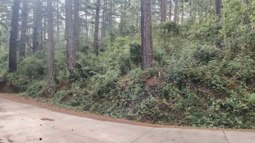 Se Vende Amplio Terreno en Valle Angeles - Imagen 4