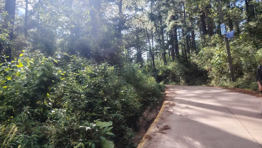 Se Vende Amplio Terreno en Valle Angeles - Imagen 3