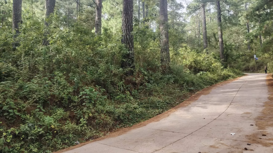 Se Vende Amplio Terreno en Valle Angeles - Imagen 5