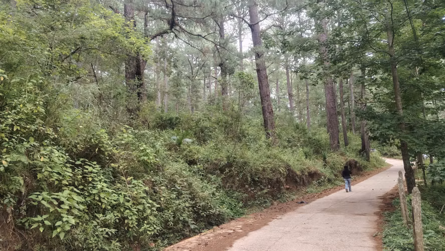 Se Vende Amplio Terreno en Valle Angeles - Imagen 1