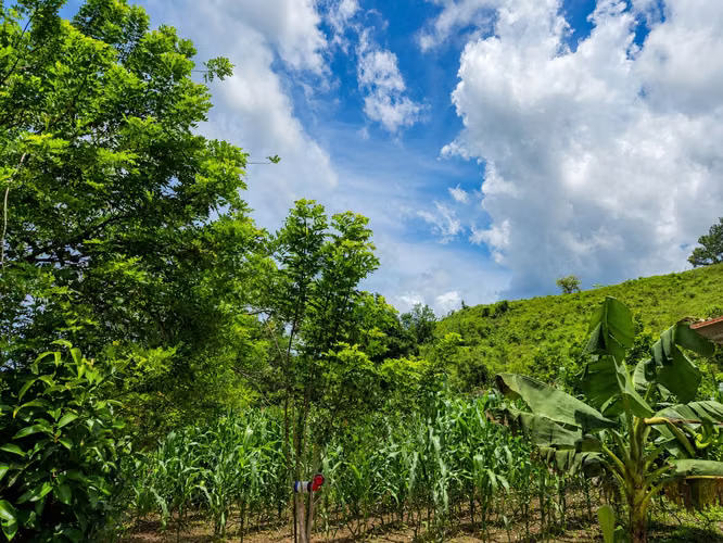 Venta de Finca en Tela - Imagen 5