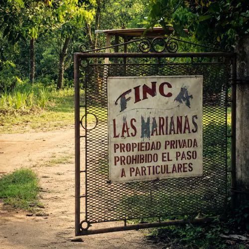 Venta de Finca en Tela - Imagen 2