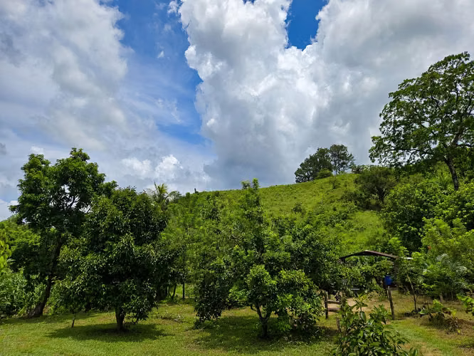 Venta de Finca en Tela - Imagen 7