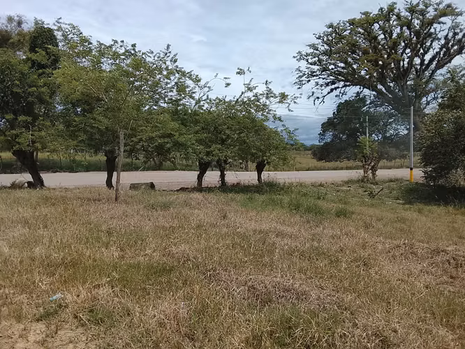 Venta de solar de esquina  - Imagen 4