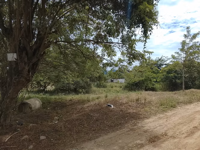 Venta de solar de esquina  - Imagen 2
