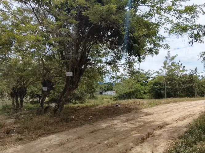 Venta de solar de esquina  - Imagen 3