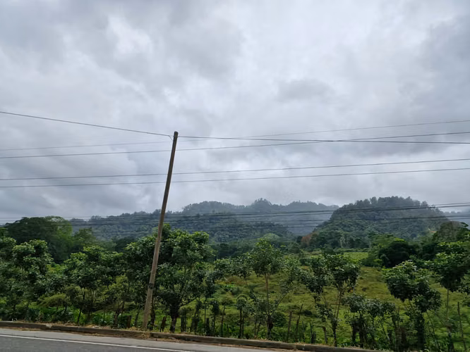  ¡400 MANZANAS DE TERRENO EN VENTA – TEGUCIGALPITA!  - Imagen 2