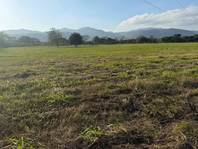  ¡TERRENO EN VENTA – VILLANUEVA, CORTÉS!  - Imagen 3