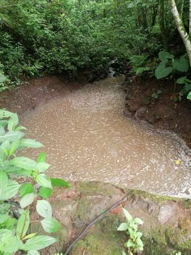  ¡GANGA! 7 MANZANAS DE TERRENO EN VENTA – EL EMPEDRADO, MATEO, TEGUCIGALPA  - Imagen 2