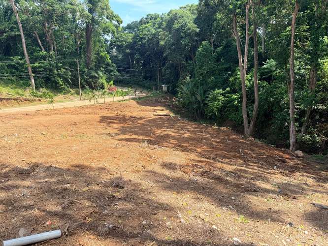 Lotes a le venta en Residencial Quinta Los Laureles