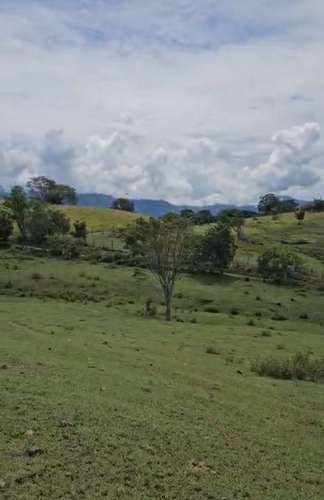 Finca 
