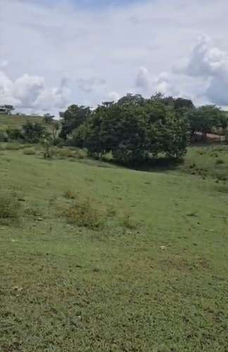 Finca 