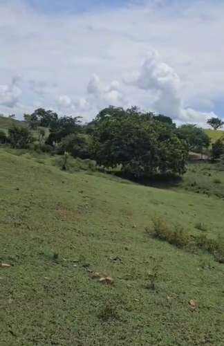 Finca 