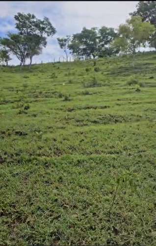Finca 