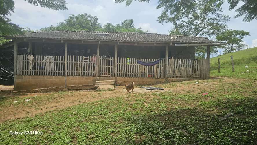 Finca 