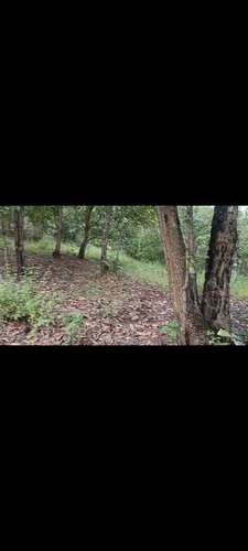 Venta de terreno de 5000 varas