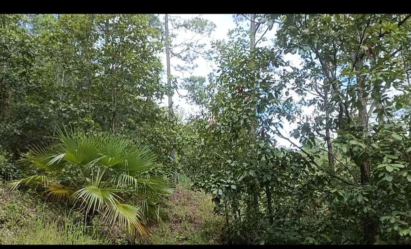 Venta de terreno de 5000 varas
