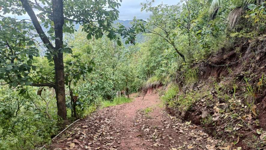 Venta de terreno de 5000 varas