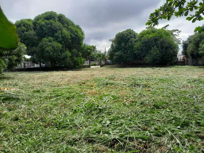  ¡TERRENO EN VENTA – CENTRO DE PUERTO CORTÉS! 
