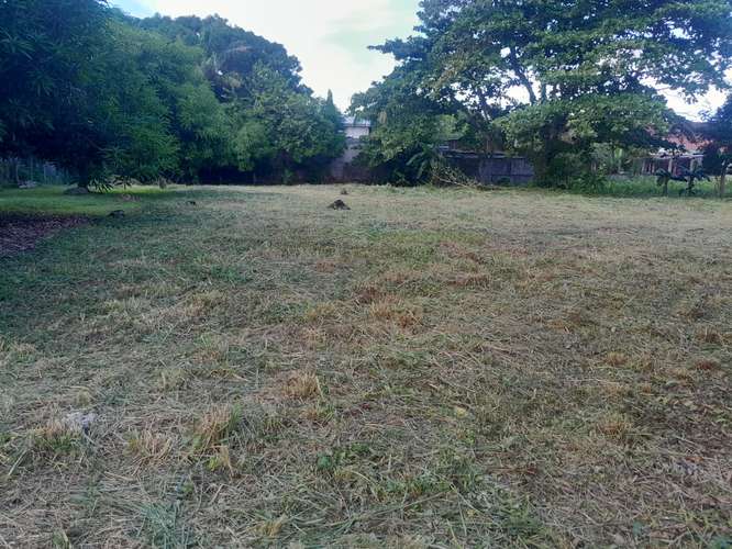  ¡TERRENO EN VENTA – CENTRO DE PUERTO CORTÉS!  - Imagen 2