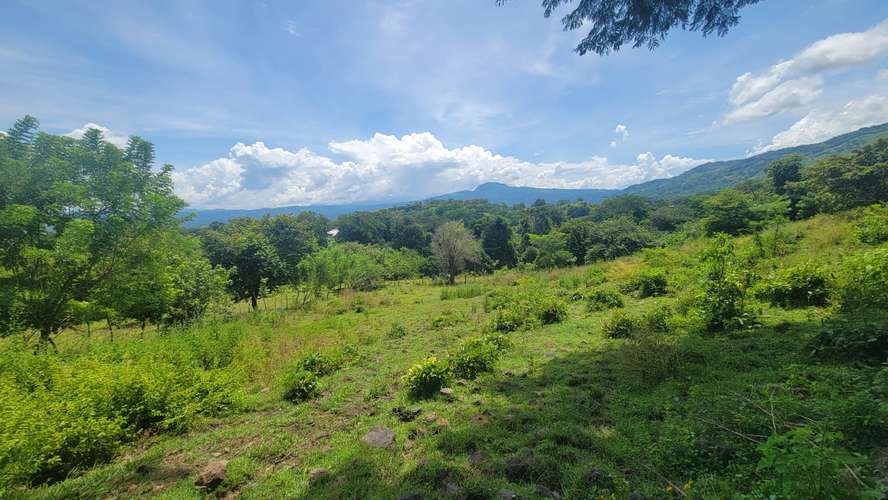  ¡HACIENDA EN VENTA DE 24 MANZANAS EN SAN ANTONIO, CORTÉS! 