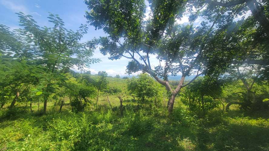  ¡HACIENDA EN VENTA DE 24 MANZANAS EN SAN ANTONIO, CORTÉS! 