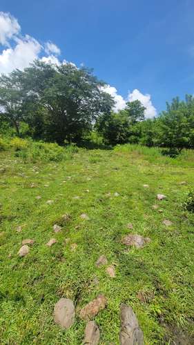  ¡HACIENDA EN VENTA DE 24 MANZANAS EN SAN ANTONIO, CORTÉS! 
