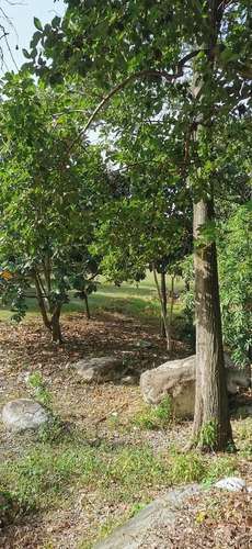 Terreno para proyecto residencial o turistico