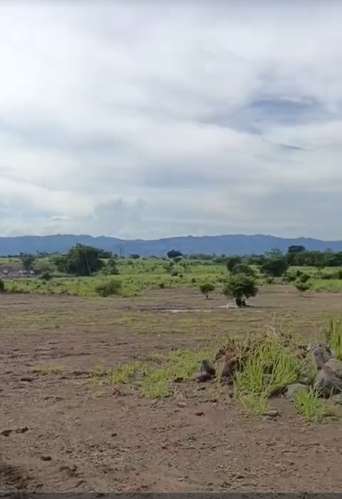  ¡TERRENOS EN VENTA A ORILLA DEL PAVIMENTO EN LA RECTA DE LA BARCA, YOJOA! 