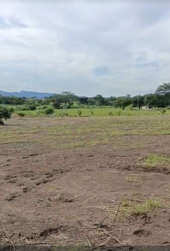  ¡TERRENOS EN VENTA A ORILLA DEL PAVIMENTO EN LA RECTA DE LA BARCA, YOJOA! 