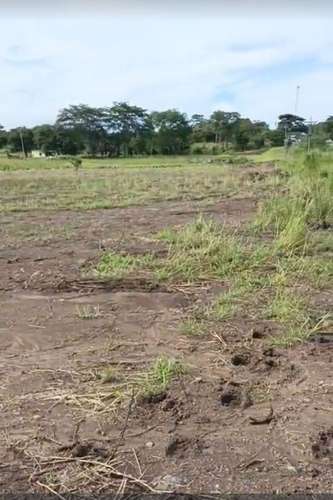  ¡TERRENOS EN VENTA A ORILLA DEL PAVIMENTO EN LA RECTA DE LA BARCA, YOJOA! 