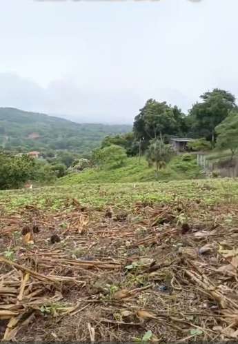  ¡GANGA! TERRENOS EN VENTA EN COLONIA BUENA VISTA, SANTA RITA, YORO  - Imagen 2