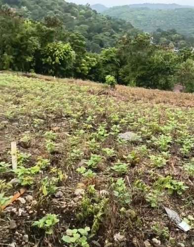  ¡GANGA! TERRENOS EN VENTA EN COLONIA BUENA VISTA, SANTA RITA, YORO 