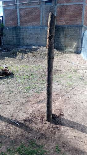 TERRENO EN VENTA EN EL CENTRO DE TALANGA - Imagen 2