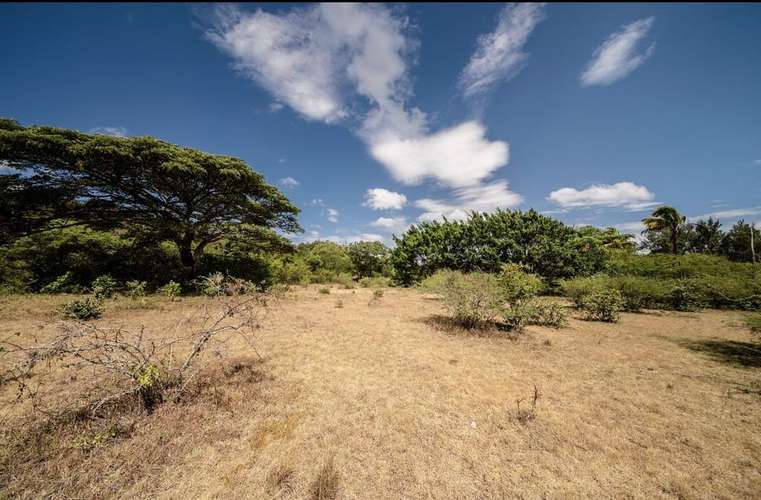 TERRENO EN VENTA | SABANAGRANDE, FRANCISCO MORAZÁN - Imagen 3