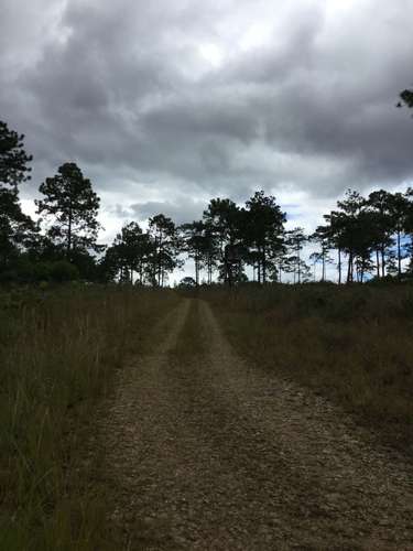 Venta terreno Lomas del Pinar Siguatepeque Honduras area pinos cerca CA-5