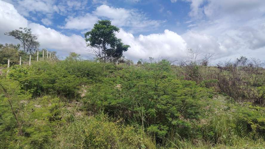 Se Vende Hermoso Terreno Valle de Amarateca - Imagen 7
