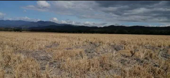 Se Vende Hermosa Propiedad en Comayagua