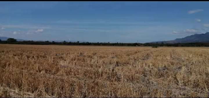 Se Vende Hermosa Propiedad en Comayagua